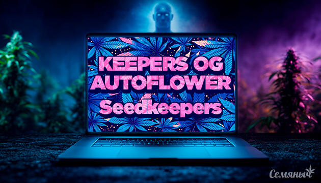 Гроурепорт сорта Keepers OG Autoflower от Seedkeepers
