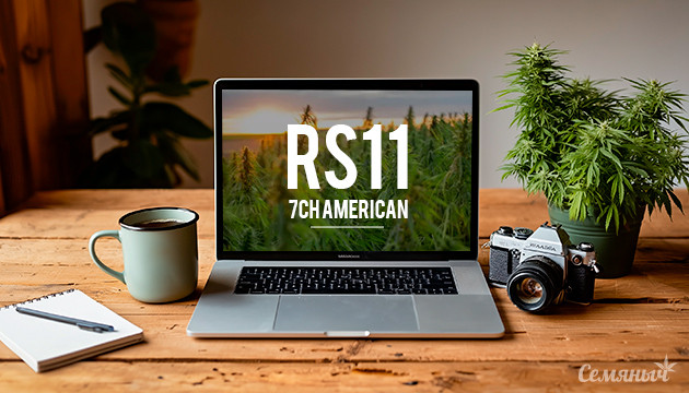 Гроурепорт сорта RS11 от 7CH American